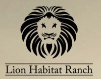 Las Vegas summer camps